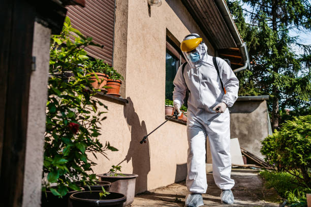 Reliable Milpitas, CA Pest Control Solutions