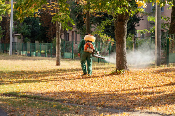 Best Pest Control Near Me  in Milpitas, CA